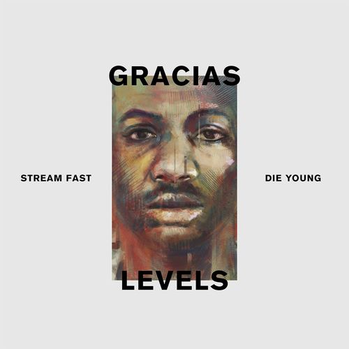 Levels (Stream Fast, Die Young)_poster_image