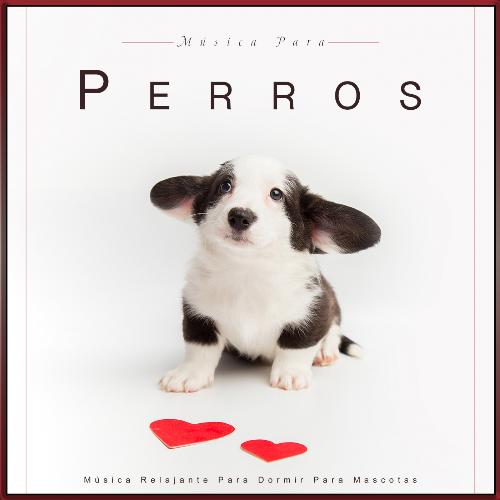 Música Para Perros cover art