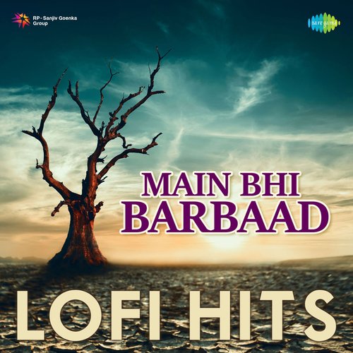 Main Bhi Barbaad Lofi Hits