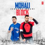 Mohali Block