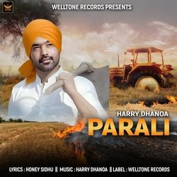 Parali-QRAIYRcGQVA