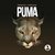 Puma (TKO Remix)