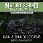 Rain & Thunderstorms (Eastern Woodland Forest)