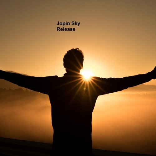 Wellness cover art