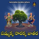 Sammakka Sarakka Jathara