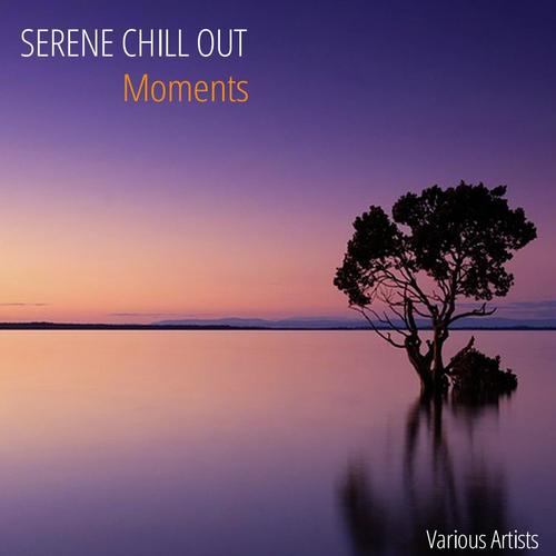 Serene Chill Out Moments