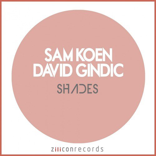 Shades (Dishop Remix) cover art
