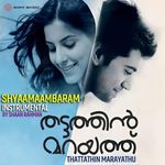 Shyaamaambaram (Instrumental)