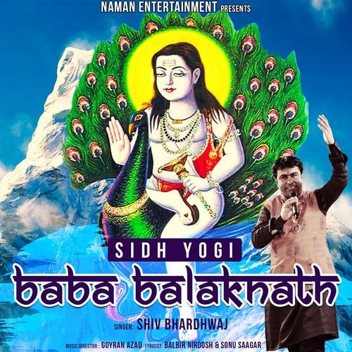 Sidhi Yogi Baba Balak Nath