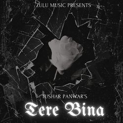 Tere Bina