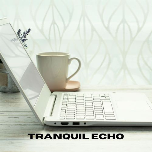 Tranquil Echo_poster_image