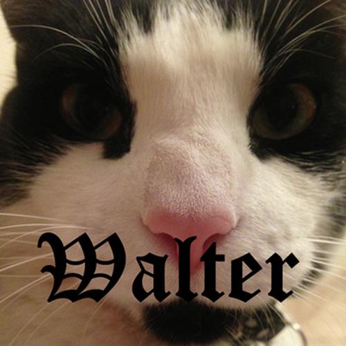 Walter cover art