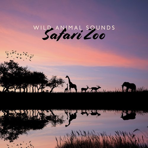 Wild Animal Sounds (Safari Zoo and African Travel (World Animal Day))_poster_image