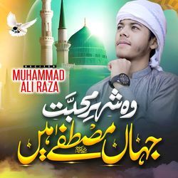 Wo Shehar E Muhammad Jahan Mustafa Hain