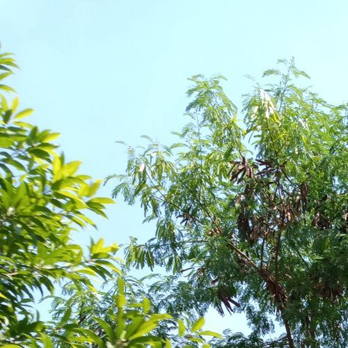 aku berteriak