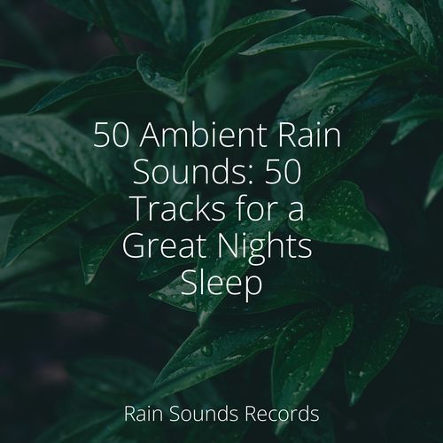 Raindrops Dance on Glass cover art