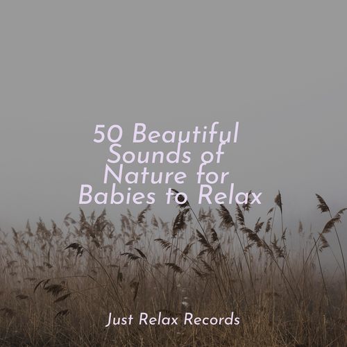 50 Beautiful Sounds of Nature for Babies to Relax