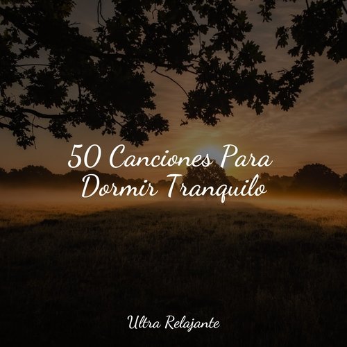 Atardecer Del Desierto cover art