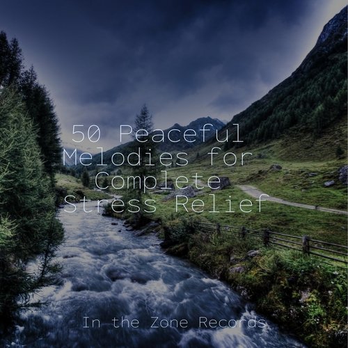 50 Peaceful Melodies for Complete Stress Relief