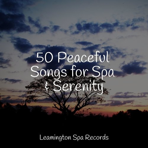 50 Peaceful Songs for Spa & Serenity
