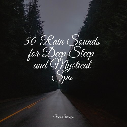 50 Rain Sounds for Deep Sleep and Mystical Spa_poster_image