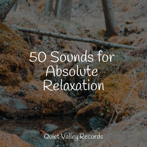 50 Sounds for Absolute Relaxation