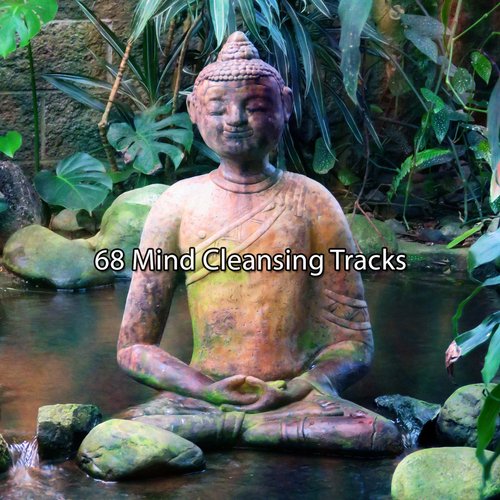 68 Mind Cleansing Tracks