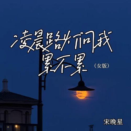 凌晨路灯问我累不累（女版）
