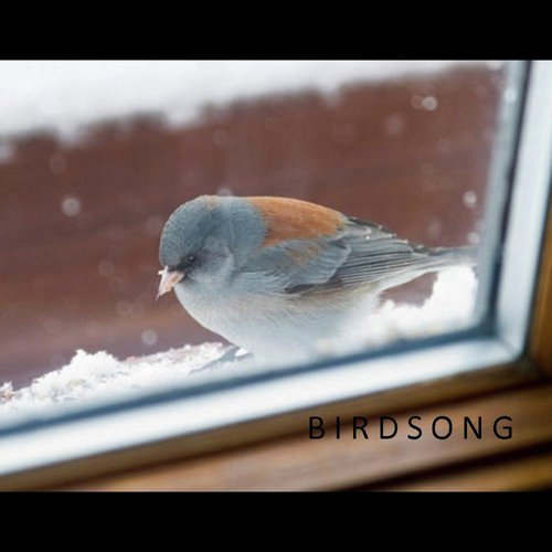 Birdsong (Gabe's song)