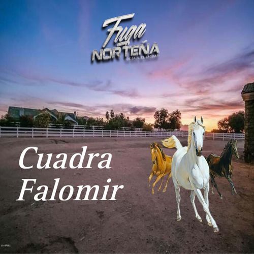 Cuadra Falomir cover art