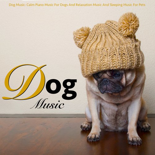 Dog Music: Calm Piano Music for Dogs and Relaxation Music and Sleeping Music for Pets