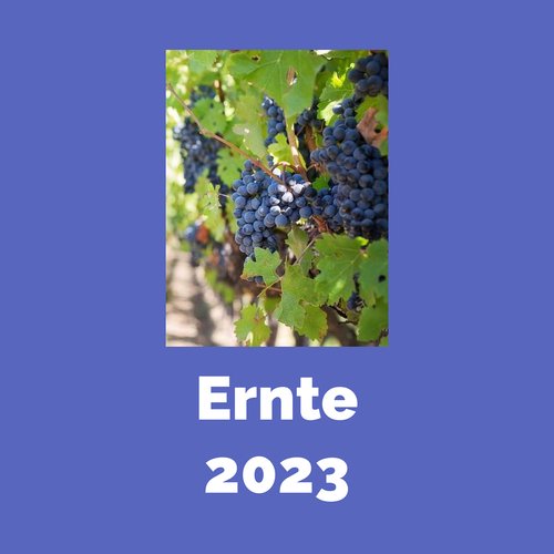 Ernte 2023