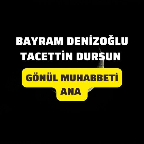 Gönül Muhabbeti (Ana) cover art