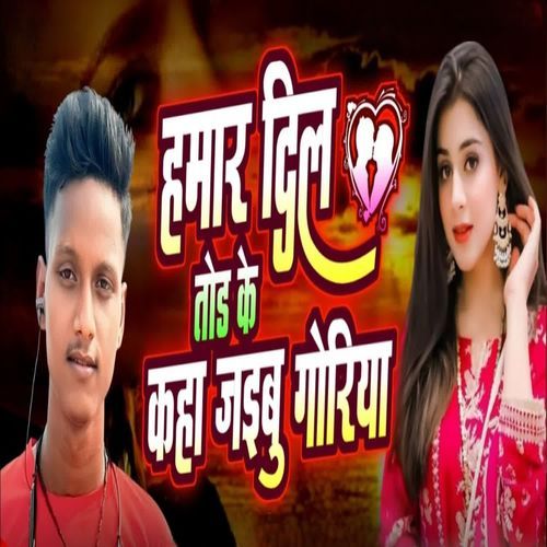 Hamar DilTod ke kaha jaibu goriya