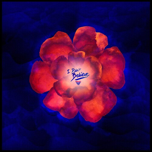 I Didn&#039;t Believe (Remixes)