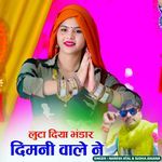 Loota Diya Bhandar Dimani Wale Ne artwork