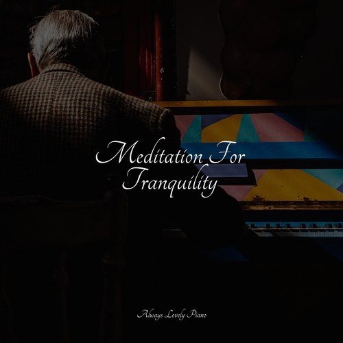 Meditation For Tranquility_poster_image