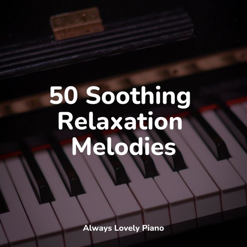 Meditative Sounds | Focused Work and Study