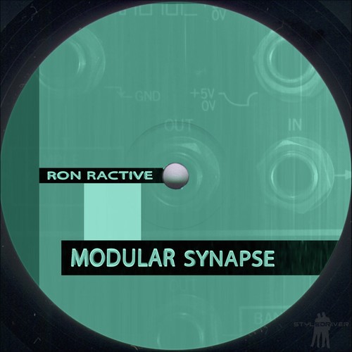 Modular Synapse