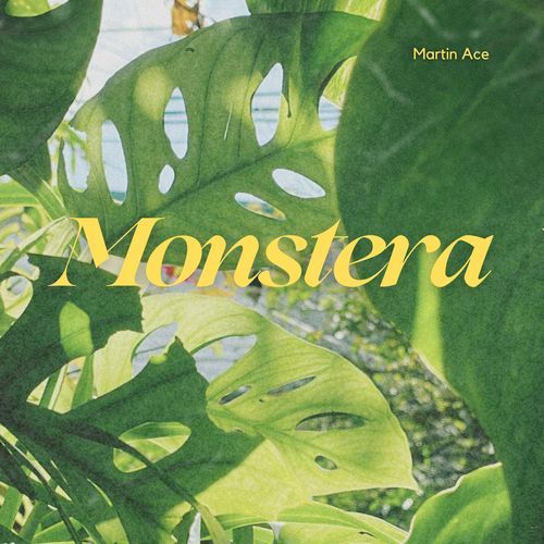 Monstera (Radio Edit)