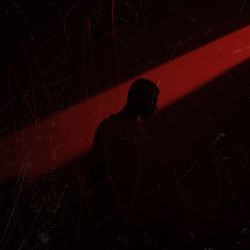 NEVER LUVED U? (Slowed)