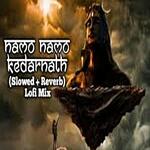 Namo Namo Lofi Kedarnath
