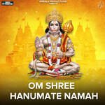 Om Shree Hanumate Namah