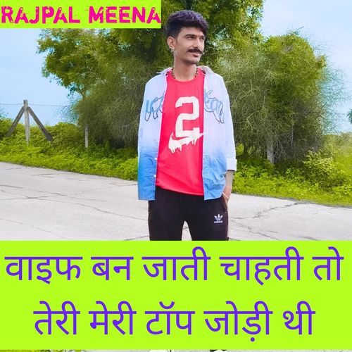 वाइफ बन जाती चाहती तो तेरी मेरी टॉप जोड़ी थी