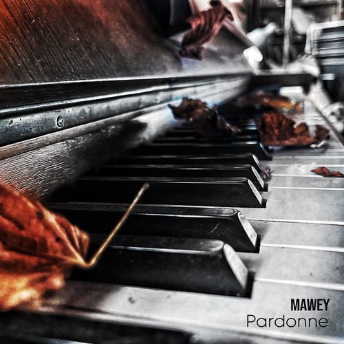 Pardonne cover art