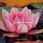 Relaxing Emotions