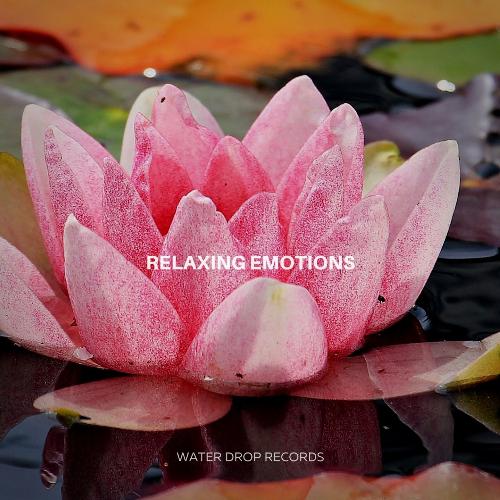 Relaxing Emotions_poster_image