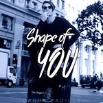 Shape of You (Top 12 Songs Mashup)