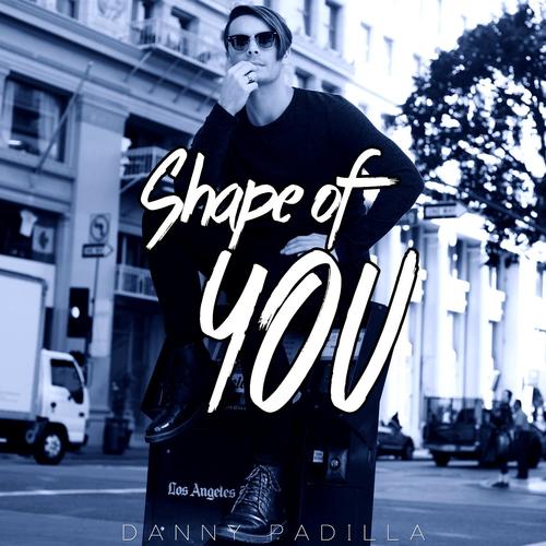 Shape of You (Top 12 Songs Mashup)
