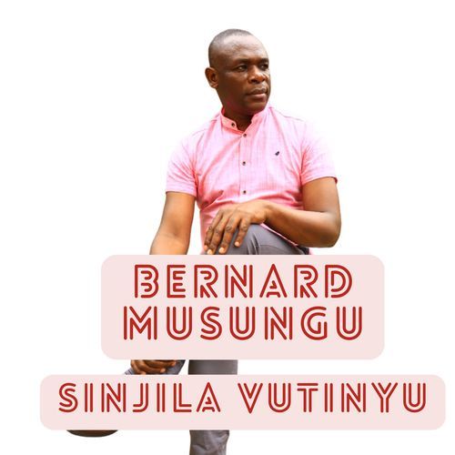 Sinjilia Vutinyu cover art